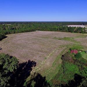 Photo of UNDER CONTRACT!  24.5 Acres of Farm and Hunting Land For Sale in Halifax County NC!