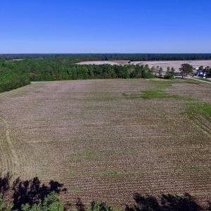 Photo of UNDER CONTRACT!  24.5 Acres of Farm and Hunting Land For Sale in Halifax County NC!