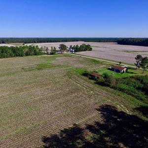 Photo of UNDER CONTRACT!  24.5 Acres of Farm and Hunting Land For Sale in Halifax County NC!