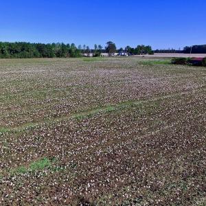 Photo of UNDER CONTRACT!  24.5 Acres of Farm and Hunting Land For Sale in Halifax County NC!
