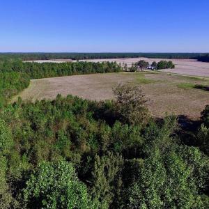 Photo of UNDER CONTRACT!  24.5 Acres of Farm and Hunting Land For Sale in Halifax County NC!