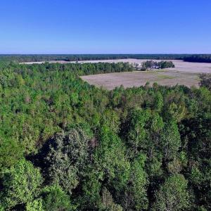 Photo of UNDER CONTRACT!  24.5 Acres of Farm and Hunting Land For Sale in Halifax County NC!
