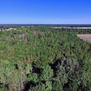 Photo of UNDER CONTRACT!  24.5 Acres of Farm and Hunting Land For Sale in Halifax County NC!