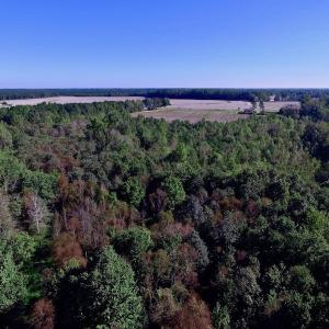 Photo of UNDER CONTRACT!  24.5 Acres of Farm and Hunting Land For Sale in Halifax County NC!