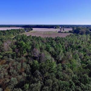 Photo of UNDER CONTRACT!  24.5 Acres of Farm and Hunting Land For Sale in Halifax County NC!