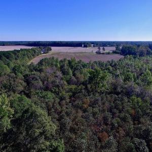 Photo of UNDER CONTRACT!  24.5 Acres of Farm and Hunting Land For Sale in Halifax County NC!