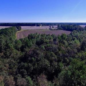 Photo of UNDER CONTRACT!  24.5 Acres of Farm and Hunting Land For Sale in Halifax County NC!