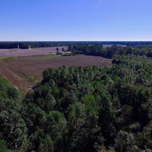Photo of UNDER CONTRACT!  24.5 Acres of Farm and Hunting Land For Sale in Halifax County NC!