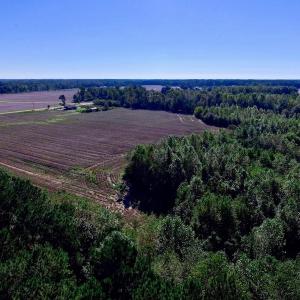 Photo of UNDER CONTRACT!  24.5 Acres of Farm and Hunting Land For Sale in Halifax County NC!