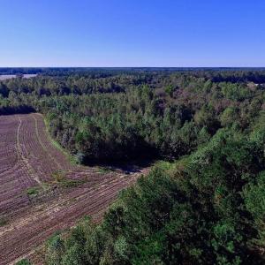 Photo of UNDER CONTRACT!  24.5 Acres of Farm and Hunting Land For Sale in Halifax County NC!