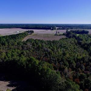 Photo of UNDER CONTRACT!  24.5 Acres of Farm and Hunting Land For Sale in Halifax County NC!