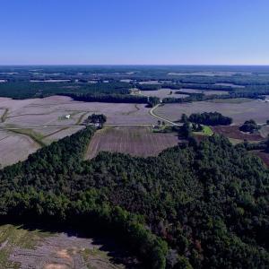 Photo of UNDER CONTRACT!  24.5 Acres of Farm and Hunting Land For Sale in Halifax County NC!