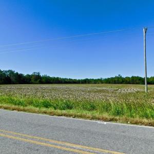 Photo of UNDER CONTRACT!  24.5 Acres of Farm and Hunting Land For Sale in Halifax County NC!