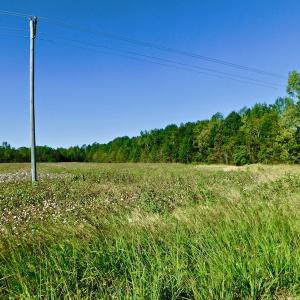 Photo of UNDER CONTRACT!  24.5 Acres of Farm and Hunting Land For Sale in Halifax County NC!