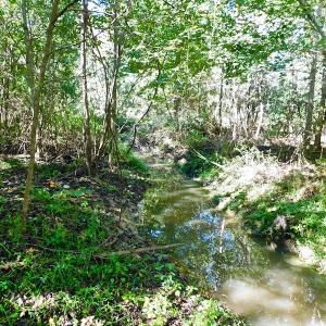 Photo of UNDER CONTRACT!  24.5 Acres of Farm and Hunting Land For Sale in Halifax County NC!