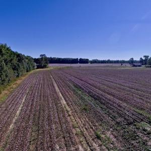 Photo of UNDER CONTRACT!  24.5 Acres of Farm and Hunting Land For Sale in Halifax County NC!