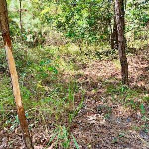 Photo of SOLD!  18.23 Acres of Recreational Land with Pond For Sale in Greene County NC!