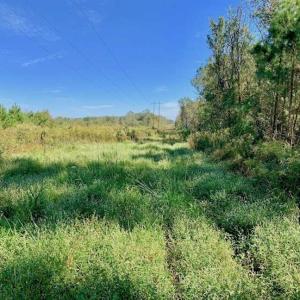 Photo of SOLD!  18.23 Acres of Recreational Land with Pond For Sale in Greene County NC!