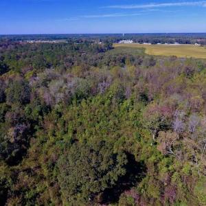 Photo of SOLD!  18.23 Acres of Recreational Land with Pond For Sale in Greene County NC!