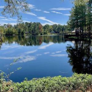Photo of SOLD!  18.23 Acres of Recreational Land with Pond For Sale in Greene County NC!