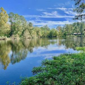 Photo of SOLD!  18.23 Acres of Recreational Land with Pond For Sale in Greene County NC!