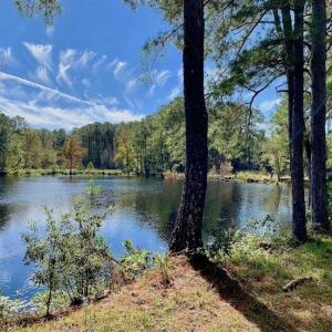 Photo of SOLD!  18.23 Acres of Recreational Land with Pond For Sale in Greene County NC!