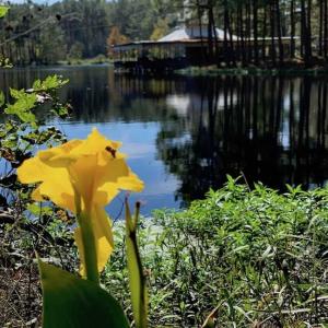 Photo of SOLD!  18.23 Acres of Recreational Land with Pond For Sale in Greene County NC!