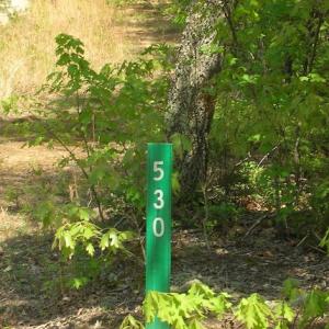 Photo of UNDER CONTRACT!  15 Acres of Hunting and Residential Land For Sale in Prince Edward County VA!
