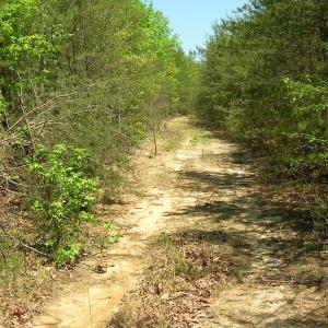 Photo of UNDER CONTRACT!  15 Acres of Hunting and Residential Land For Sale in Prince Edward County VA!