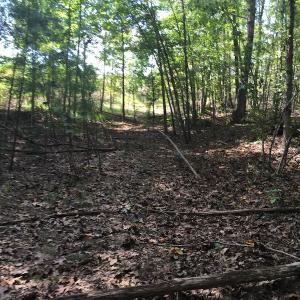 Photo of UNDER CONTRACT!  15 Acres of Hunting and Residential Land For Sale in Prince Edward County VA!
