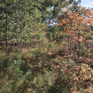 Photo of UNDER CONTRACT!  15 Acres of Hunting and Residential Land For Sale in Prince Edward County VA!