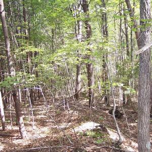 Photo of UNDER CONTRACT!  15 Acres of Hunting and Residential Land For Sale in Prince Edward County VA!