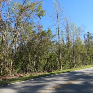 Photo of UNDER CONTRACT!  23 Acres of Hunting Land For Sale in Brunswick County NC!