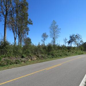Photo of UNDER CONTRACT!  23 Acres of Hunting Land For Sale in Brunswick County NC!