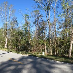 Photo of UNDER CONTRACT!  23 Acres of Hunting Land For Sale in Brunswick County NC!