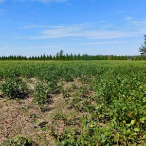 Photo of SOLD!!  0.70 Acre Residential Lot For Sale in Greene County NC!