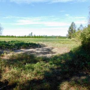 Photo of SOLD!!  0.70 Acre Residential Lot For Sale in Greene County NC!