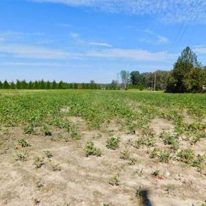 Photo of SOLD!!  0.70 Acre Residential Lot For Sale in Greene County NC!