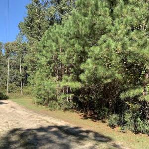 Photo of SOLD!!  3.88 Acre Residential Lot For Sale in Greene County NC!