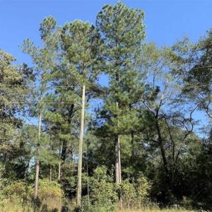Photo of UNDER CONTRACT!! 1.38 Acres of Residential Land For Sale in Greene County NC!