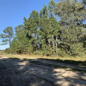 Photo of UNDER CONTRACT!! 1.38 Acres of Residential Land For Sale in Greene County NC!