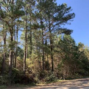 Photo of SOLD!!  0.46 Acre Residential Lot For Sale in Greene County NC!