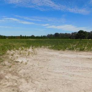 Photo of SOLD!!  0.71 Acre Residential Lot For Sale in Greene County NC!
