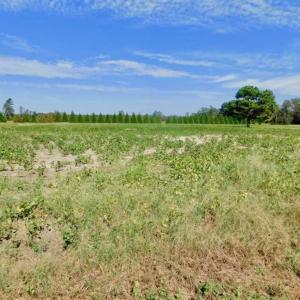 Photo of SOLD!!  0.71 Acre Residential Lot For Sale in Greene County NC!