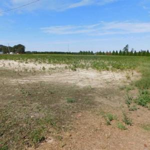 Photo of SOLD!!  0.97 Acre Residential Lot For Sale in Greene County NC!