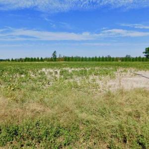 Photo of SOLD!!  0.97 Acre Residential Lot For Sale in Greene County NC!