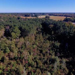 Photo of SOLD!  35.76 Acres of Hunting and Timber Land For Sale in Wilson County NC!