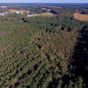 Photo of SOLD!  35.76 Acres of Hunting and Timber Land For Sale in Wilson County NC!