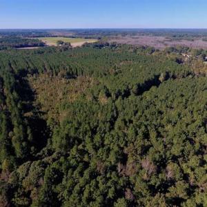 Photo of SOLD!  35.76 Acres of Hunting and Timber Land For Sale in Wilson County NC!