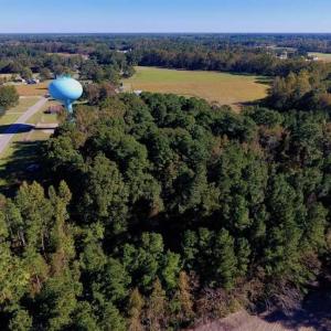 Photo of SOLD!  35.76 Acres of Hunting and Timber Land For Sale in Wilson County NC!